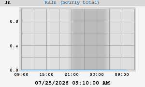 rain