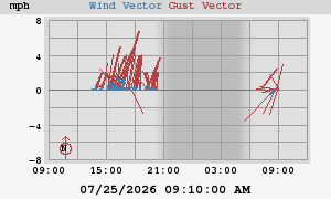 Wind Vector